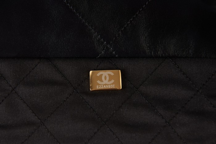 Chanel 22 Handbag(42*8*38cm)-038