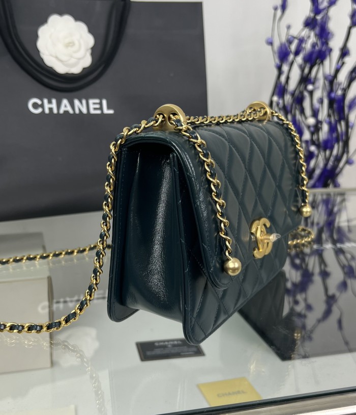 Chanel 19 Flap Bag 24C (22*14.5*8cm)-006