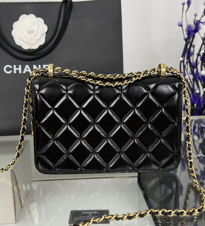 Chanel 19 Flap Bag 24C (22*14.5*8cm)-006