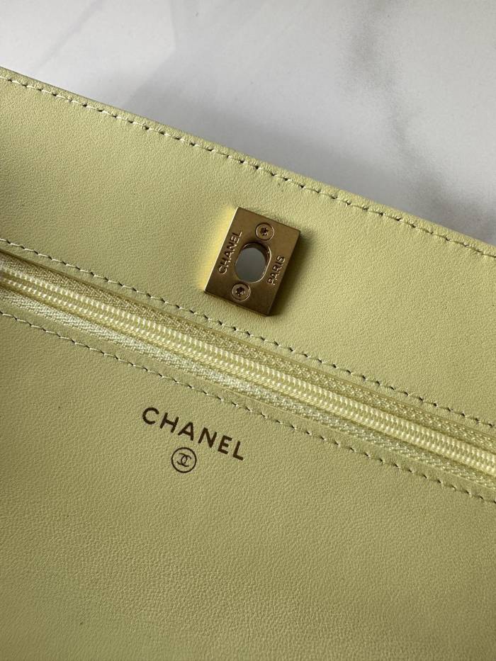 Chanel Classic Flap CF 23S(20*13*5cm)-085