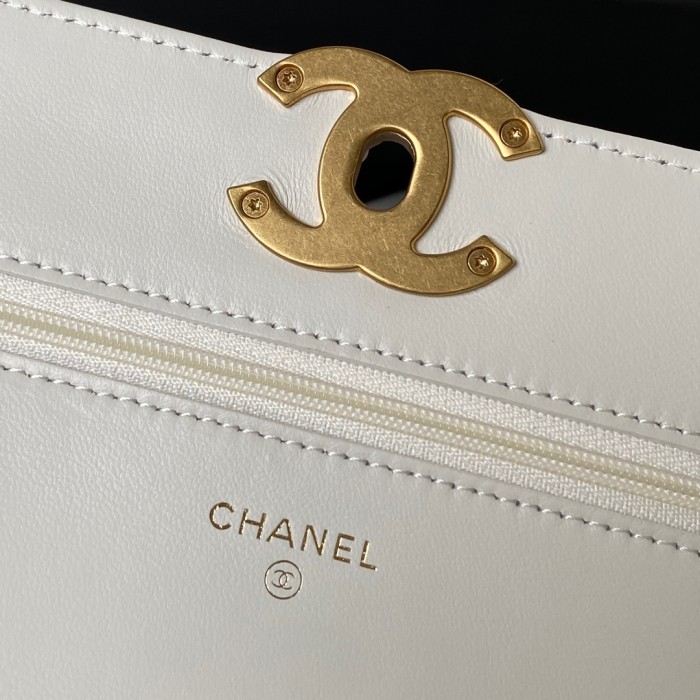 Chanel 19Bag WOC(19.2*12.3*3.5cm)-036