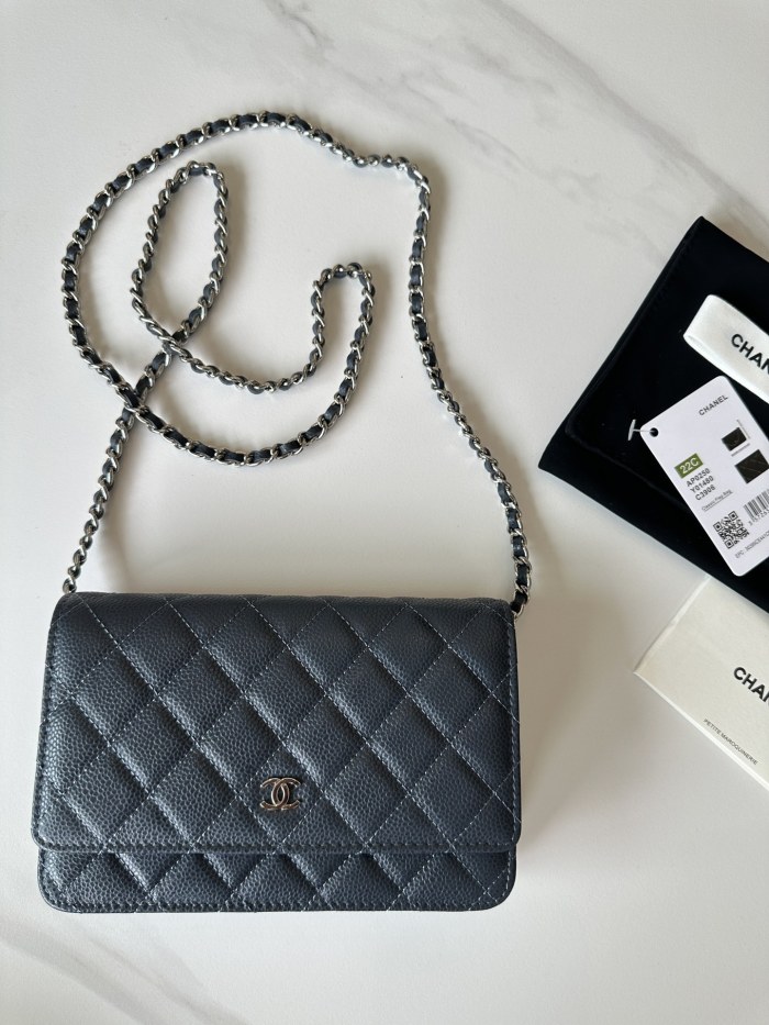 Chanel 22C WOC(19*12*3cm)-014