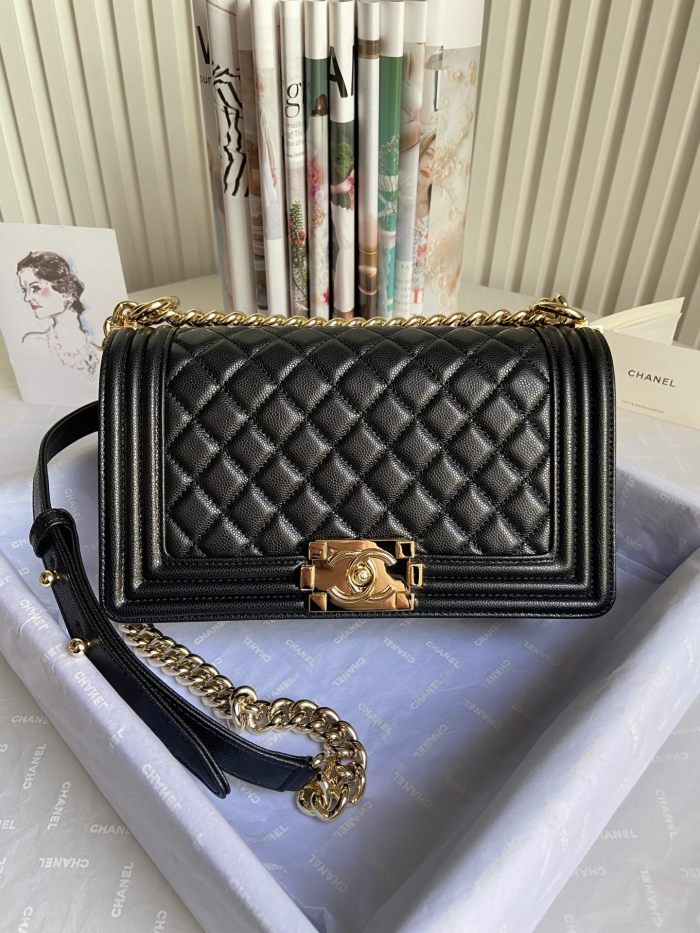 Chanel Le Boy(25*15*9cm)-015