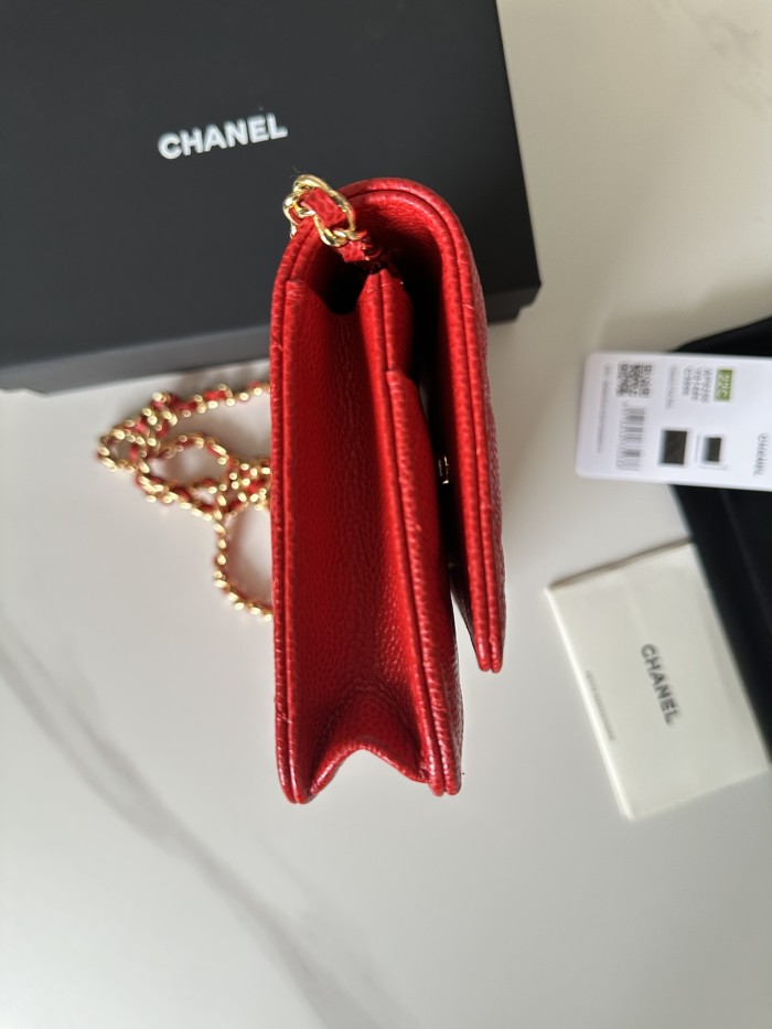 Chanel 22C WOC(19*12*3cm)-014