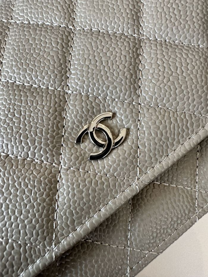 Chanel 22C WOC(19*12*3cm)-014