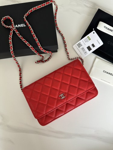 Chanel 22C WOC(19*12*3cm)-014