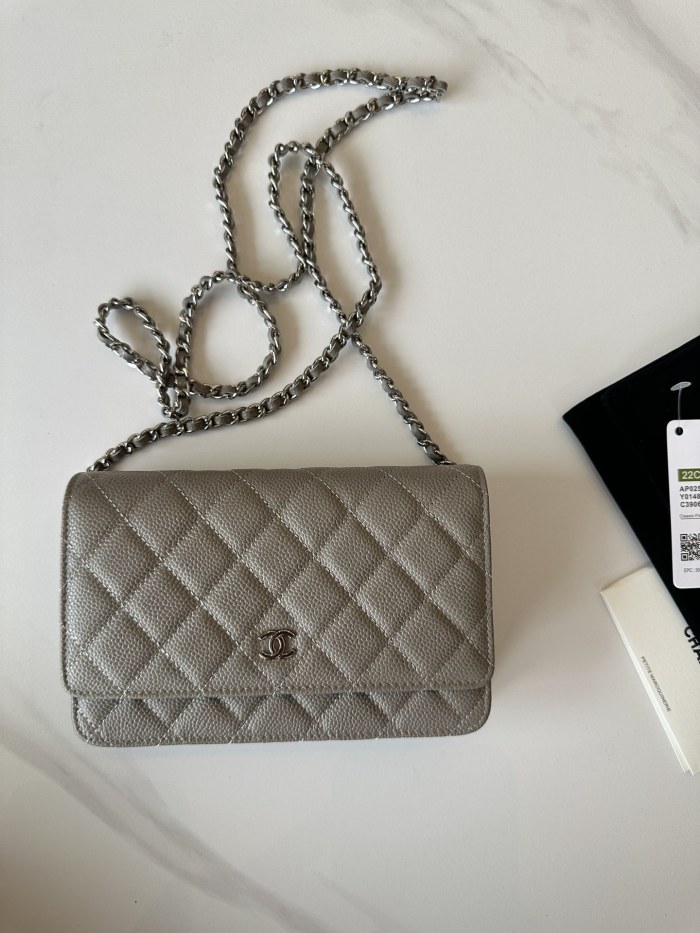 Chanel 22C WOC(19*12*3cm)-014