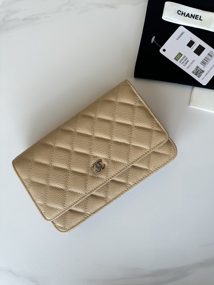 Chanel 22C WOC(19*12*3cm)-014