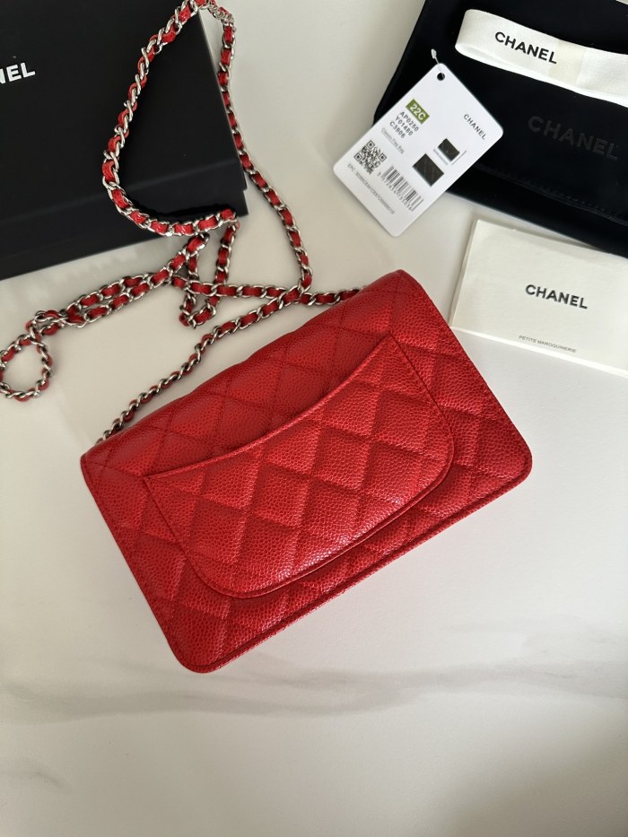 Chanel 22C WOC(19*12*3cm)-014