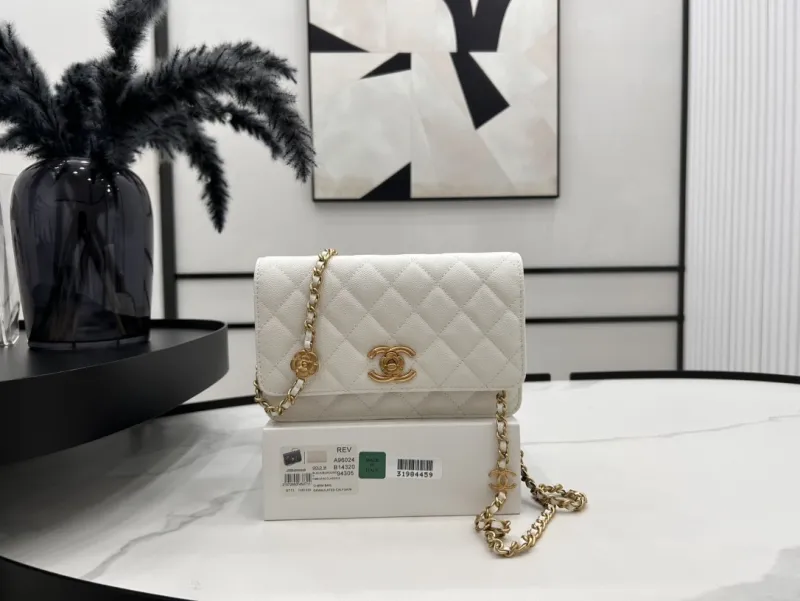 Chanel 23K WOC(19.5*18*9cm)-017