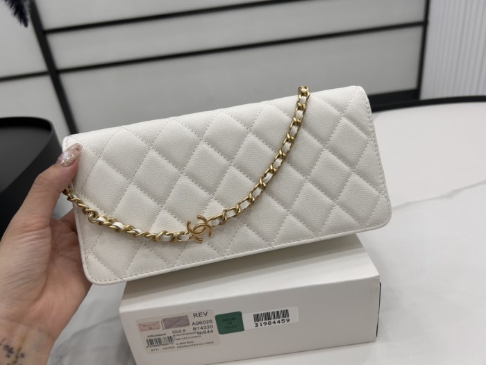 Chanel 23K WOC(20.5*10.5*6cm)-096