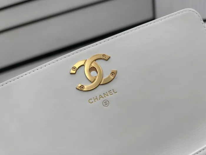Chanel 23K WOC(20.5*10.5*6cm)-096