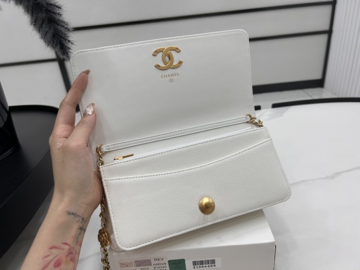 Chanel 23K WOC(20.5*10.5*6cm)-096