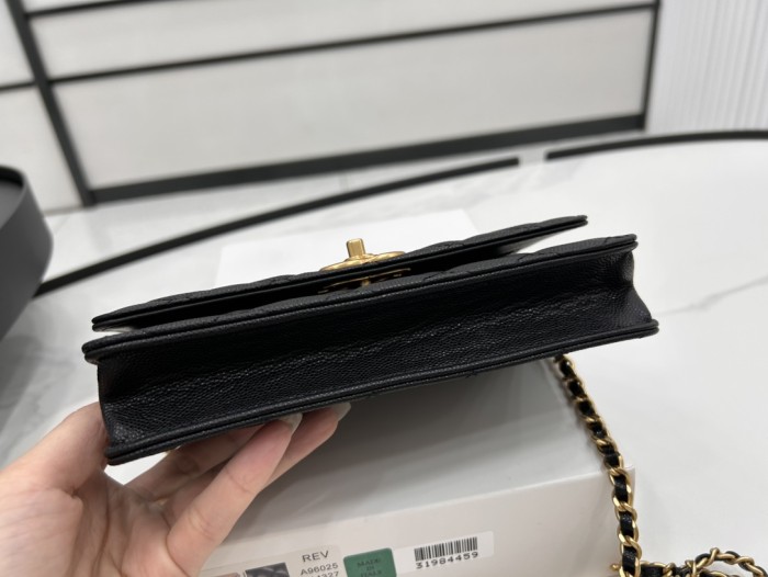 Chanel 23K WOC(19.5*18*9cm)-017