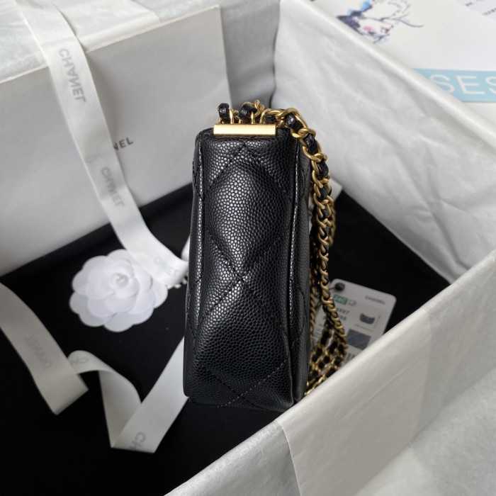 Chanel 24C Hobo Handbag(21*12*4cm)-056