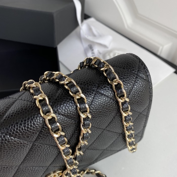 Chanel 20S WOC(19cm)-015