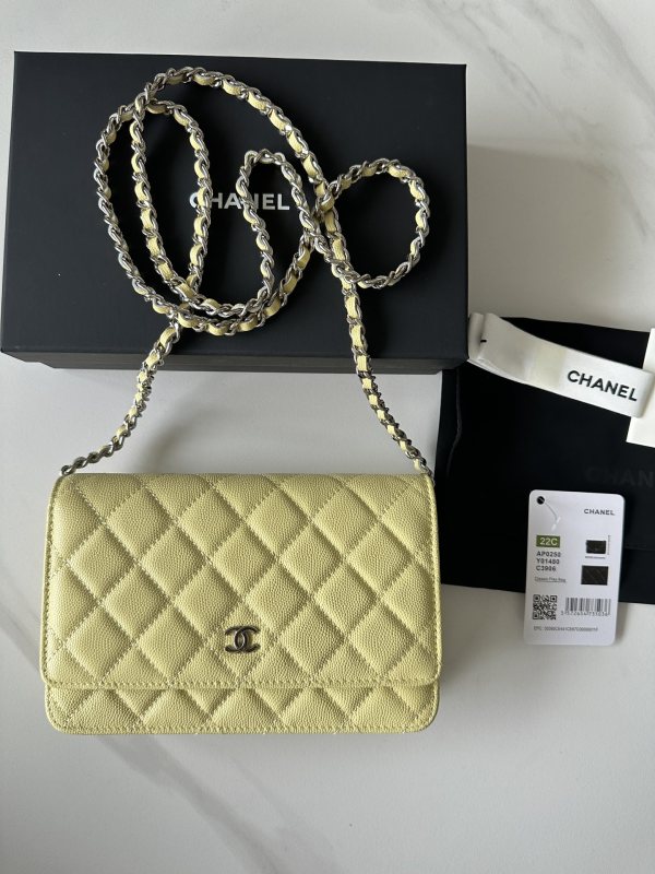 Chanel 22C WOC(19*12*3cm)-014