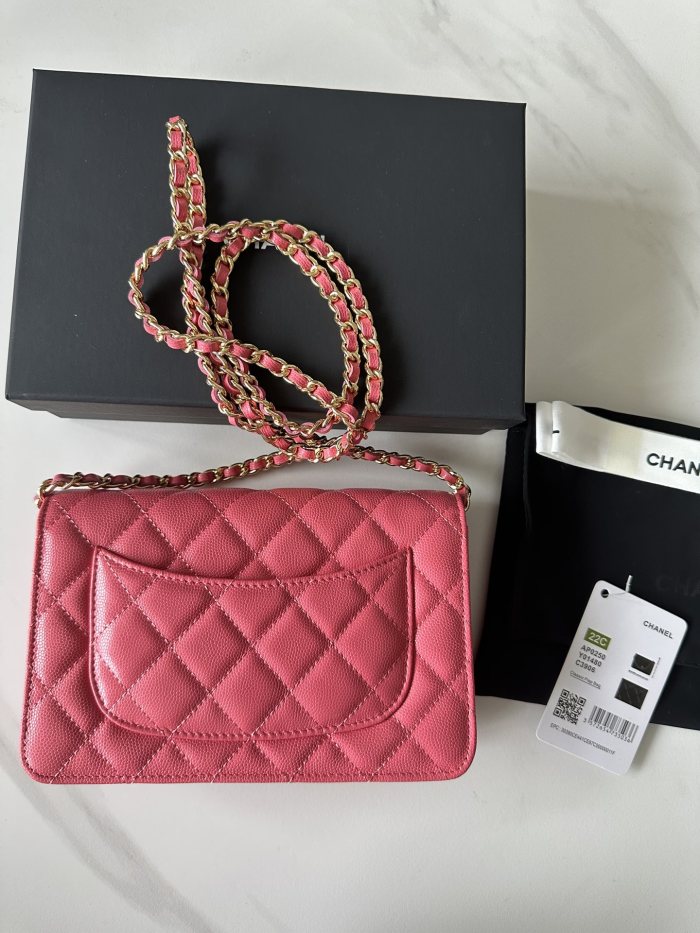 Chanel 22C WOC(19*12*3cm)-014