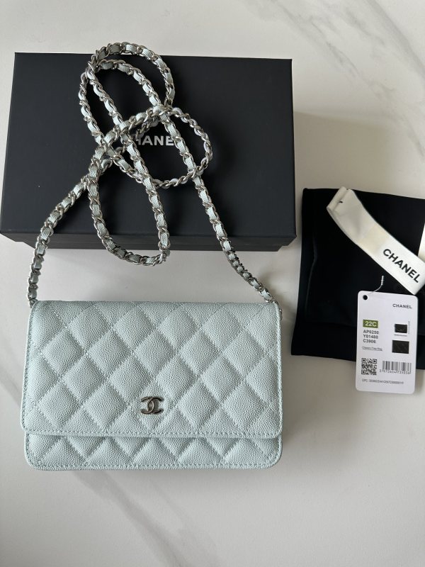 Chanel 22C WOC(19*12*3cm)-014