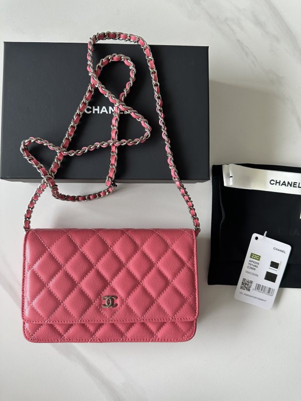 Chanel 22C WOC(19*12*3cm)-014