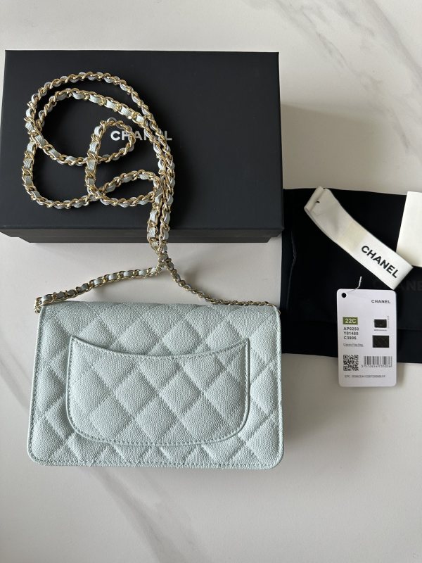 Chanel 22C WOC(19*12*3cm)-014
