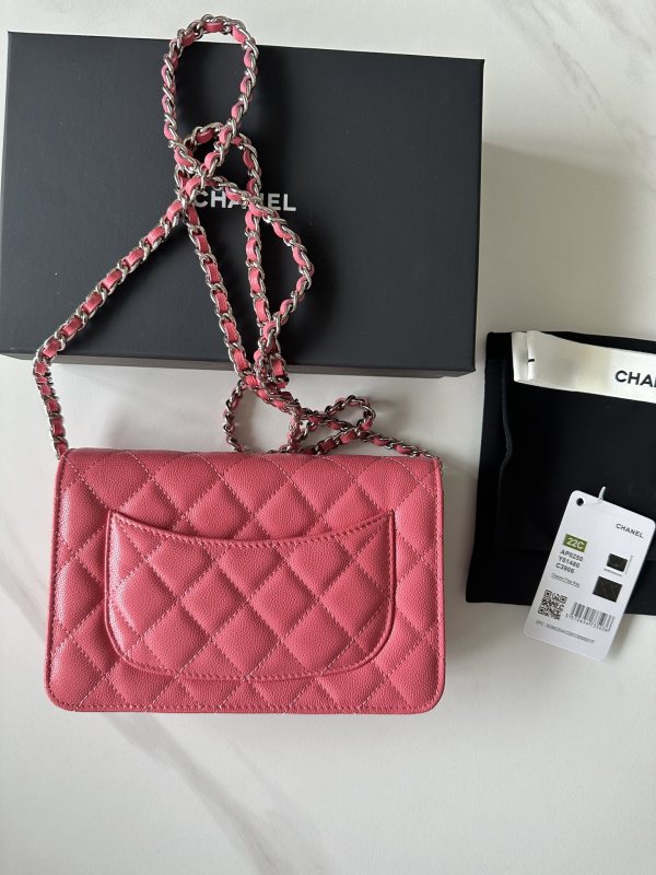 Chanel 22C WOC(19*12*3cm)-014