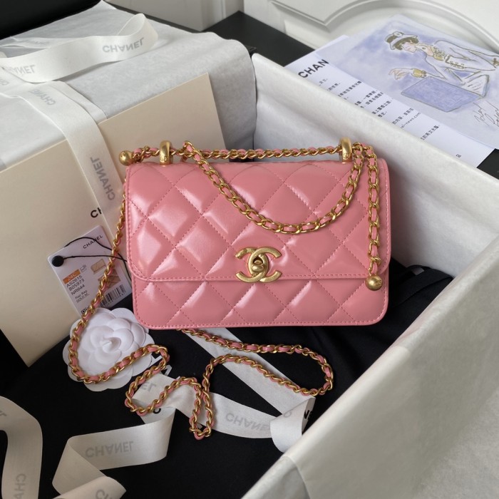 Chanel 19Bag Flap 24C(19*12*8cm)-017