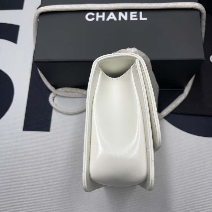 Chanel 19 Flap Bag 24C (22*14.5*8cm)-006