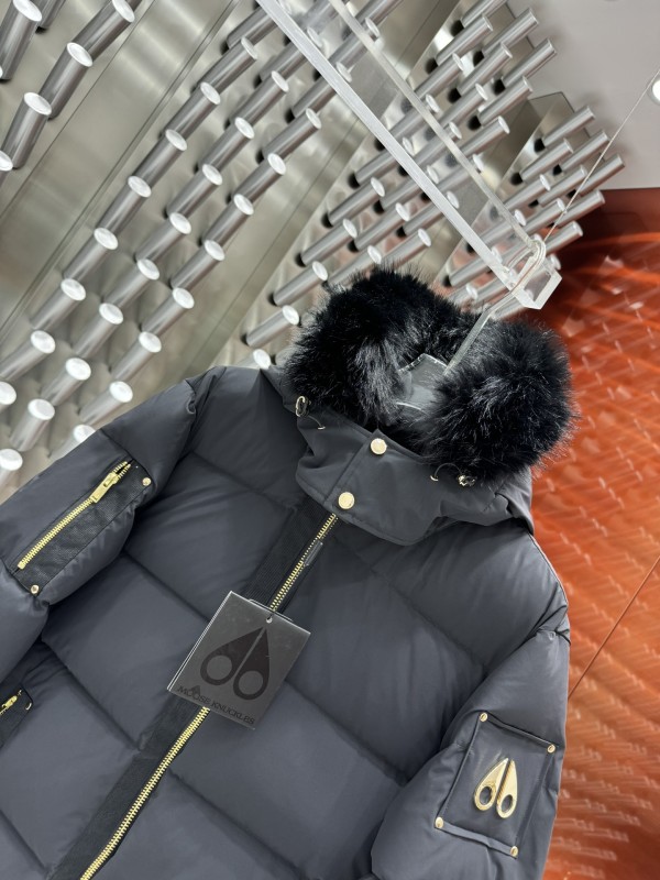 Down Jackets (Women)