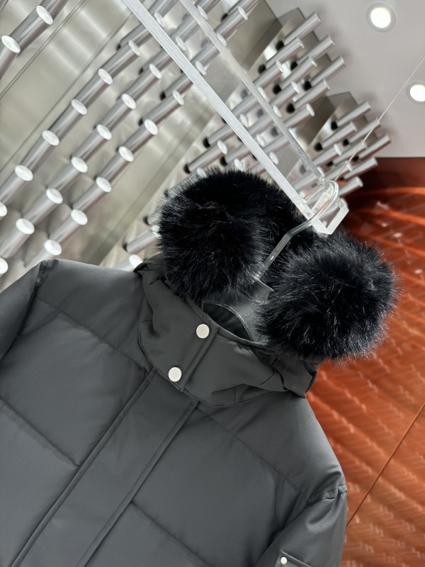 Down Jackets (Women)