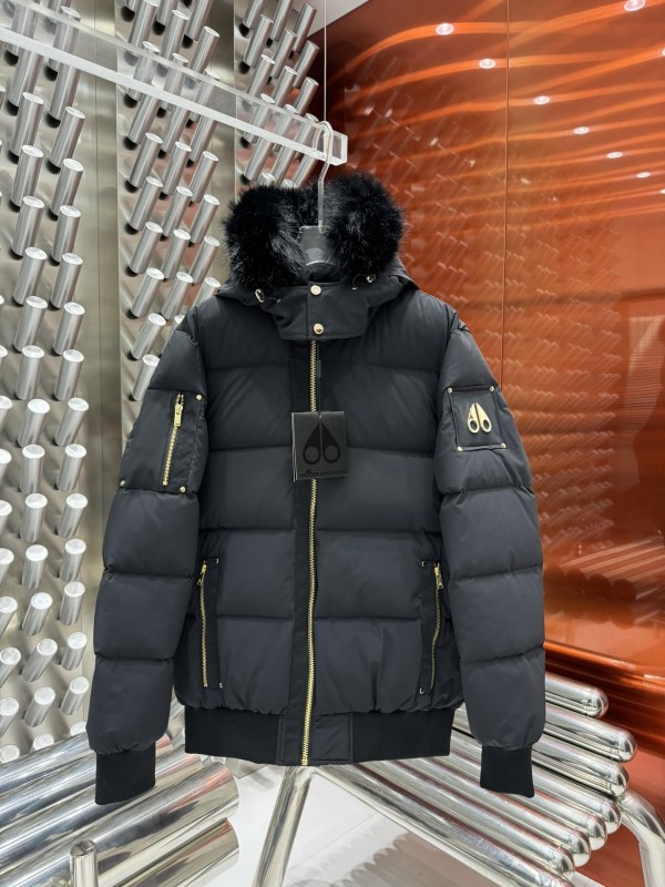 Down Jackets (Women)