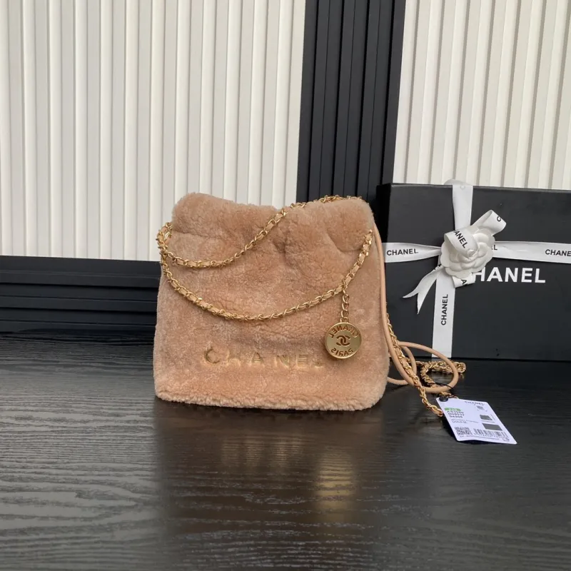 CHANEL 22 Mini Handbag(20*19*6cm)-087