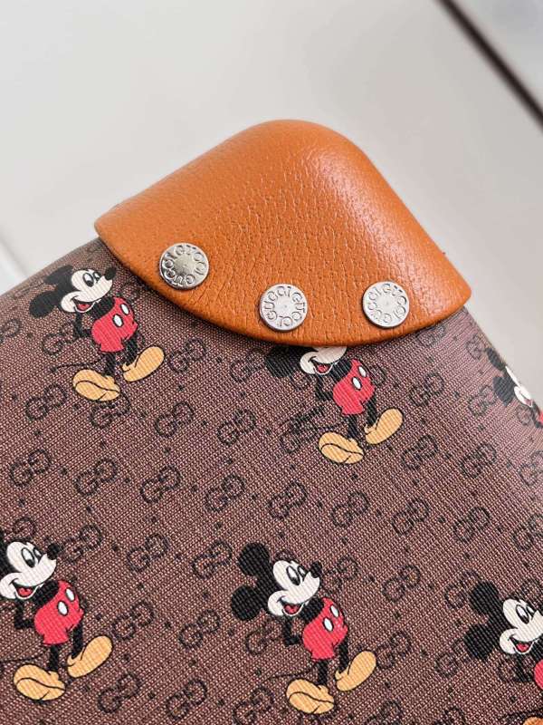 Luggage DISNEY 20 24 inch  -0051 0061