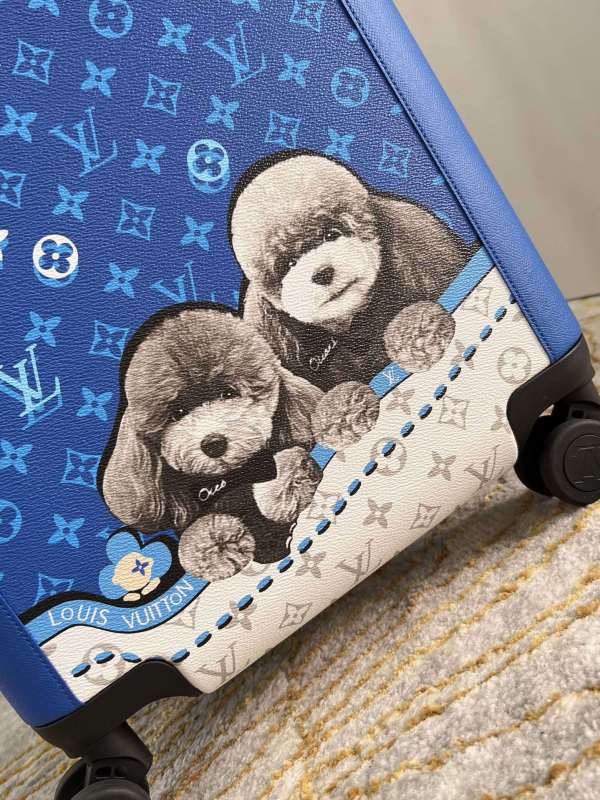 Luggage Horizon 35x23x53CM 20inch -0031