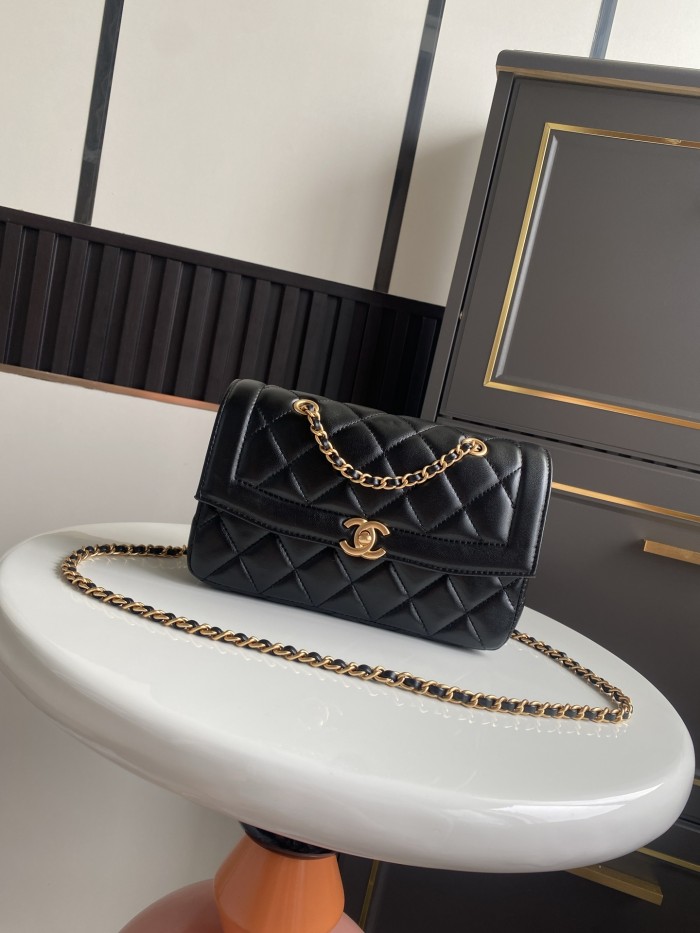 Wallet On Chain “13.5x21x6.5cm”-066 =AS5258