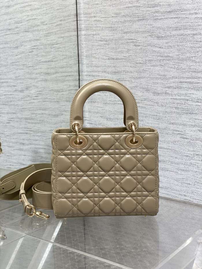 Lady Dior “20*8*17cm ”-007=