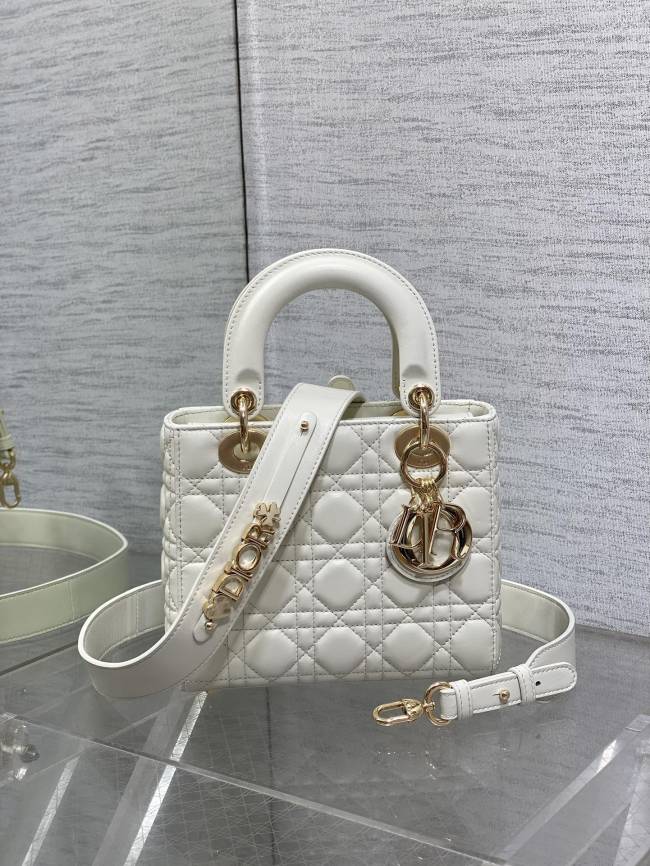 Lady Dior “20*8*17cm ”-007=