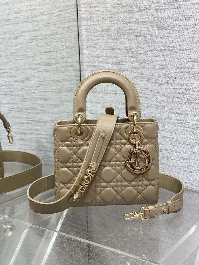 Lady Dior “20*8*17cm ”-007=