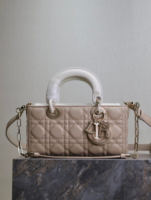 LADY DIOR “ 22.5×6×11.5cm”-017=
