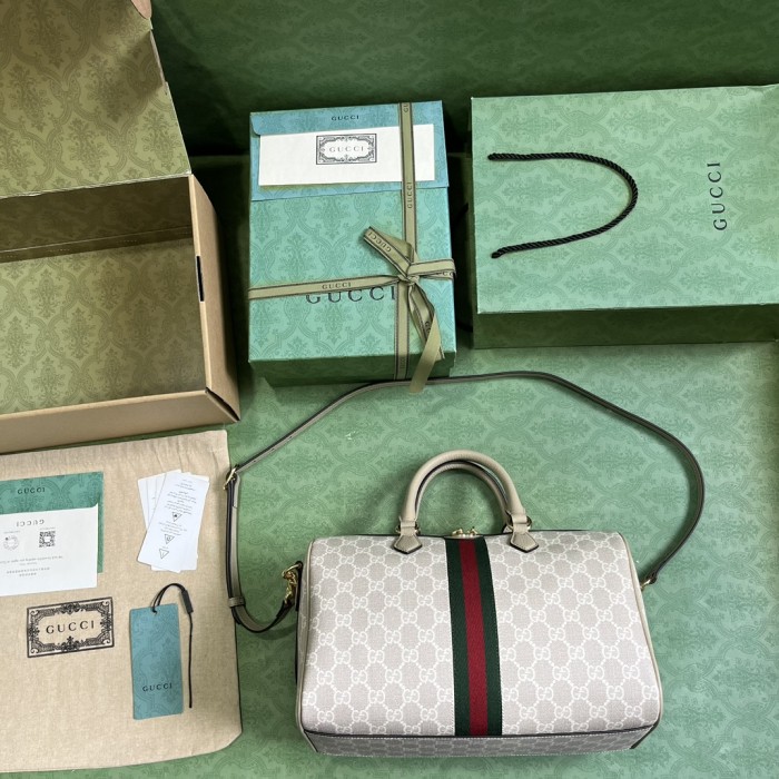 Women Ophidia“20*31*16.5”CM-045=