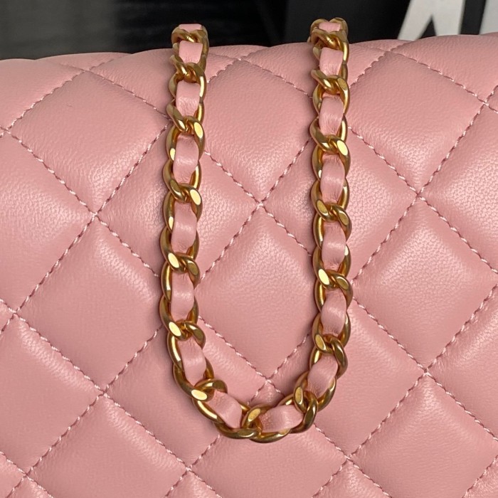 25B Classic Flap Bag “23.5x14.5x7cm” -007 =AS5756