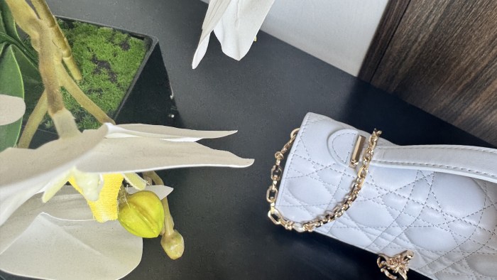 Lady Dior “21*11*5cm”-055=