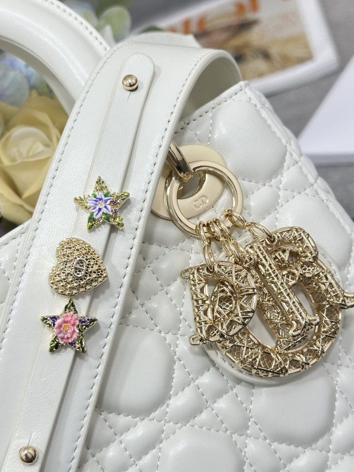 Lady Dior My ABC “20 x 16.5 x 8cm”-069=