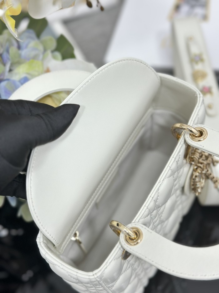 Lady Dior My ABC “20 x 16.5 x 8cm”-069=