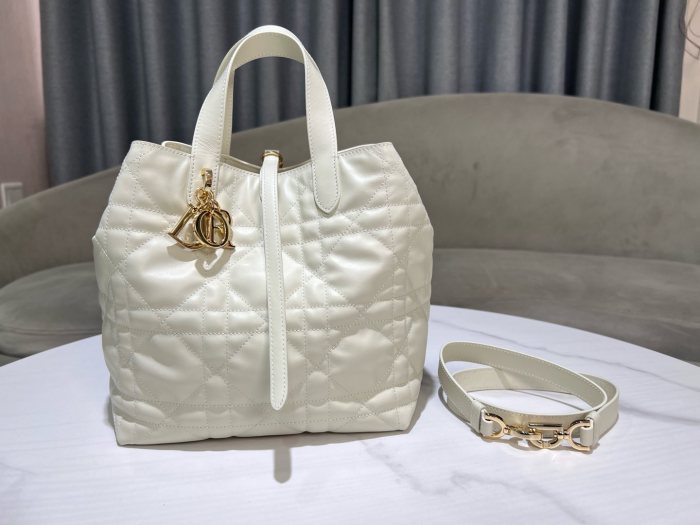 Dior Toujours “20 x 22 x 18.5cm”-047=