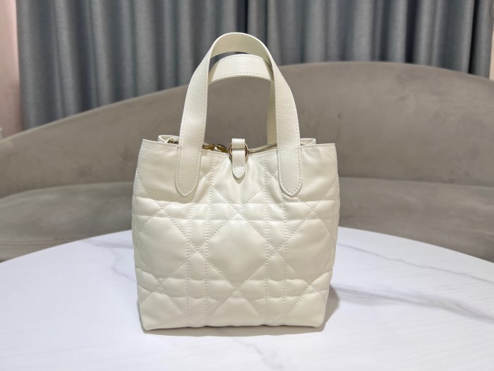 Dior Toujours “16×18×12cm”-096=
