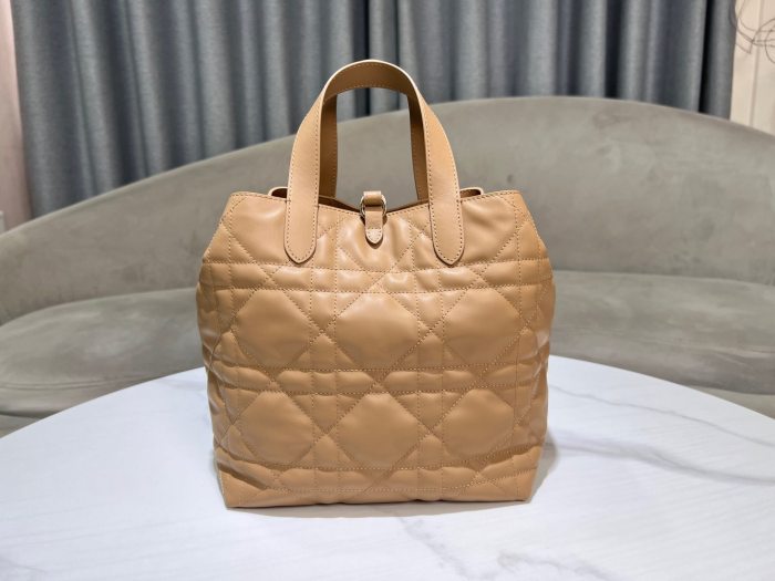 Dior Toujours “20 x 22 x 18.5cm”-047=