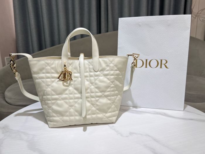 Dior Toujours “20 x 22 x 18.5cm”-047=