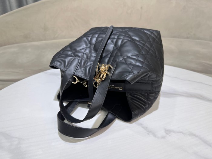 Dior Toujours “20 x 22 x 18.5cm”-047=