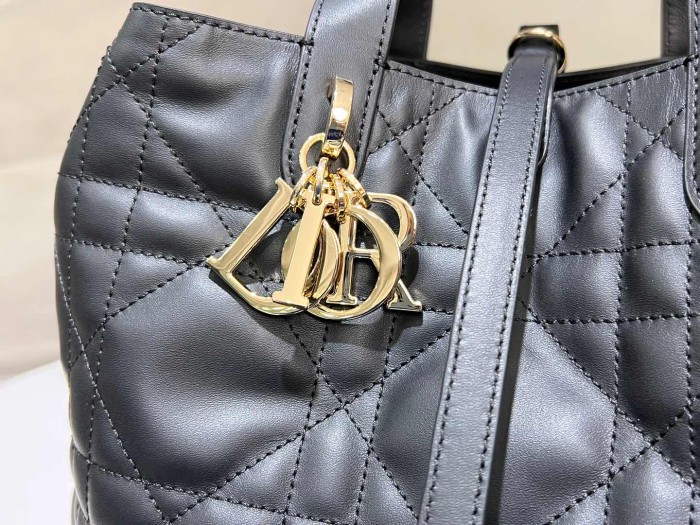 Dior Toujours “20 x 22 x 18.5cm”-047=